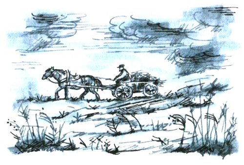 Иллюстрация к книге — Сахарный ребёнок. История девочки из прошлого века, рассказанная Стеллой Нудольской [i_010.jpg]