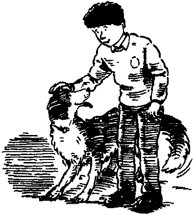 Иллюстрация к книге — Красный, как огонь [i_001.jpg]