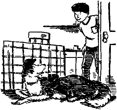 Иллюстрация к книге — Красный, как огонь [i_006.jpg]