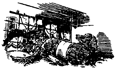 Иллюстрация к книге — Красный, как огонь [i_012.jpg]