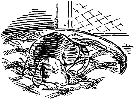 Иллюстрация к книге — Похищение века [i_001.jpg]