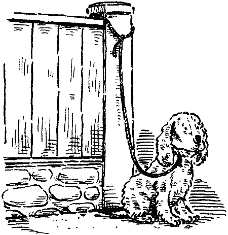 Иллюстрация к книге — Похищение века [i_004.jpg]