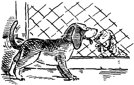 Иллюстрация к книге — Похищение века [i_008.jpg]