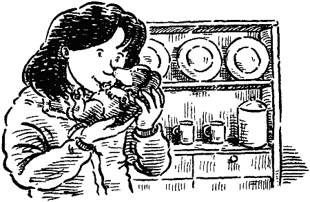 Иллюстрация к книге — Похищение века [i_011.jpg]