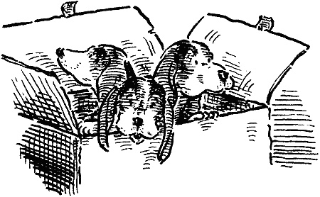 Иллюстрация к книге — Похищение века [i_014.jpg]