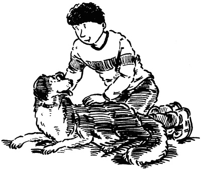 Иллюстрация к книге — Собачье счастье [i_004.jpg]