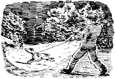 Иллюстрация к книге — Собачье счастье [i_007.jpg]