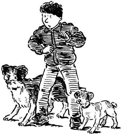 Иллюстрация к книге — Собачье счастье [i_014.jpg]