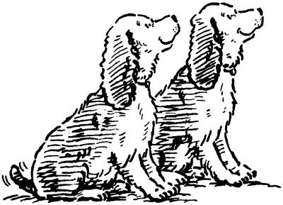 Иллюстрация к книге — Собачье счастье [i_016.jpg]