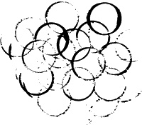 Иллюстрация к книге — 52-е февраля [i_005.jpg]