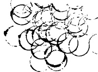 Иллюстрация к книге — 52-е февраля [i_021.jpg]