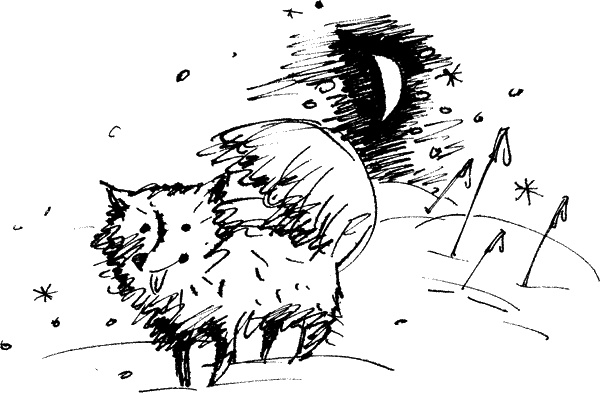 Иллюстрация к книге — 52-е февраля [i_025.jpg]