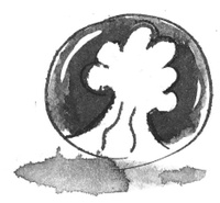 Иллюстрация к книге — Я хочу в школу [i_061.jpg]