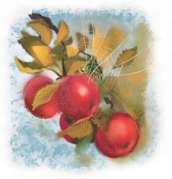 Иллюстрация к книге — Чучело [i_018.jpg]