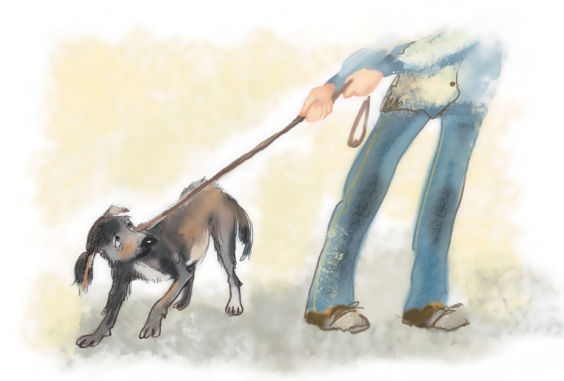 Иллюстрация к книге — Чучело [i_022.jpg]