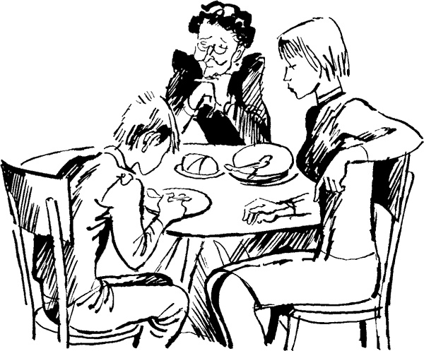 Иллюстрация к книге — Жизнь и приключения чудака [i_005.jpg]