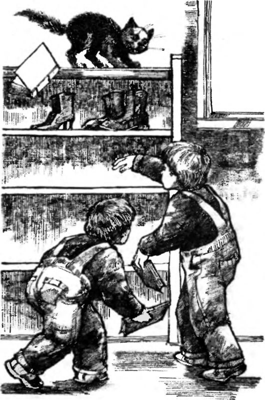 Иллюстрация к книге — Уроки без правил [i_009.jpg]