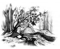 Иллюстрация к книге — Образование Маленького Дерева [i_018.jpg]