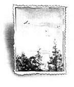 Иллюстрация к книге — Образование Маленького Дерева [i_043.jpg]