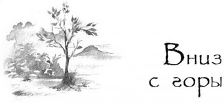 Иллюстрация к книге — Образование Маленького Дерева [i_044.jpg]