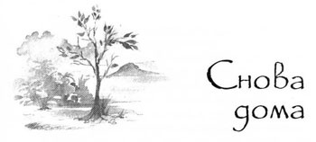 Иллюстрация к книге — Образование Маленького Дерева [i_049.jpg]