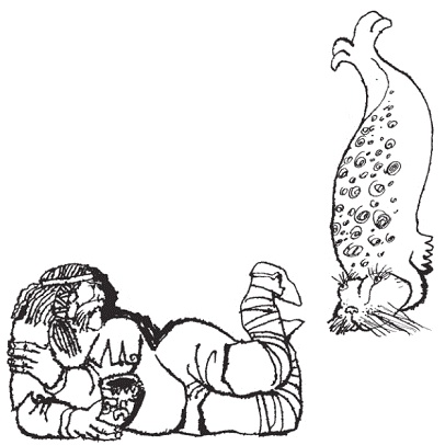 Иллюстрация к книге — Подарки фей [pic_140.jpg]