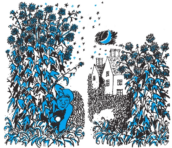 Иллюстрация к книге — Подарки фей [pic_147.jpg]