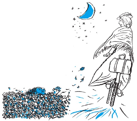 Иллюстрация к книге — Подарки фей [pic_160.jpg]