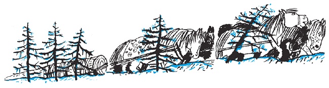 Иллюстрация к книге — Подарки фей [pic_165.jpg]