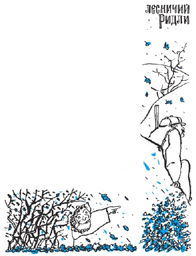 Иллюстрация к книге — Подарки фей [pic_181.jpg]