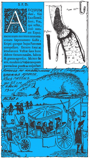 Иллюстрация к книге — Подарки фей [pic_256.jpg]