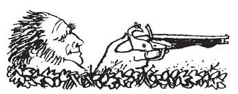 Иллюстрация к книге — Подарки фей [pic_66.jpg]