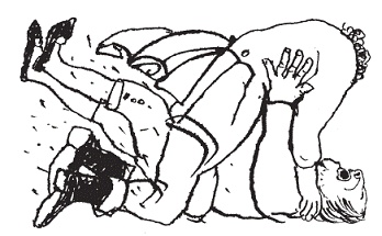 Иллюстрация к книге — Подарки фей [pic_67.jpg]