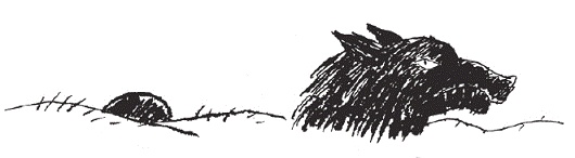 Иллюстрация к книге — Подарки фей [pic_79.jpg]