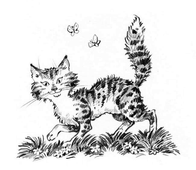 Иллюстрация к книге — О пушистых кошечках [i_003.jpg]