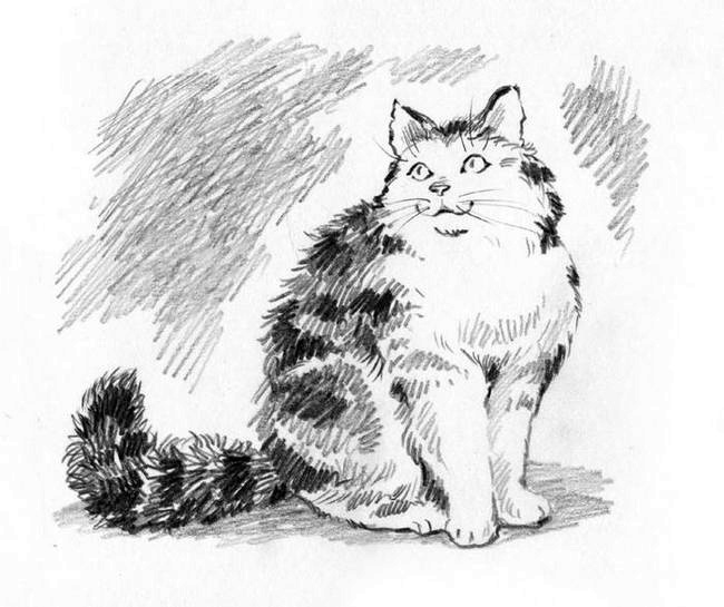 Иллюстрация к книге — О пушистых кошечках [i_016.jpg]