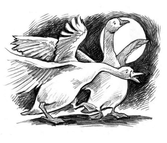 Иллюстрация к книге — О пушистых кошечках [i_019.jpg]