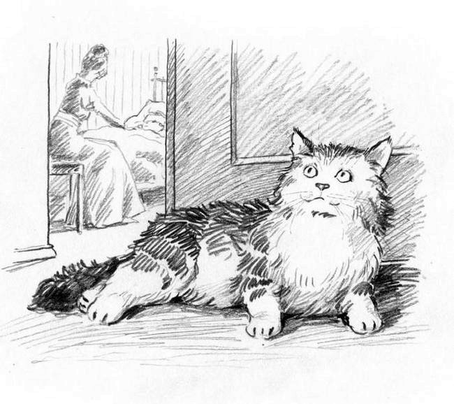 Иллюстрация к книге — О пушистых кошечках [i_026.jpg]