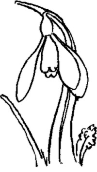 Иллюстрация к книге — Отпуск по ранению [i_011.jpg]