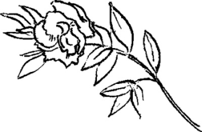 Иллюстрация к книге — Отпуск по ранению [i_020.jpg]