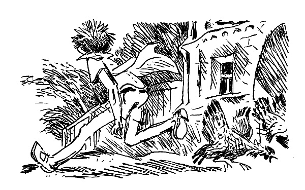 Иллюстрация к книге — Та сторона, где ветер [i_052.jpg]