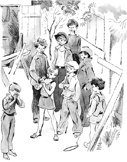 Иллюстрация к книге — Тень каравеллы . Мой друг Форик или опаляющая страсть киноискусства [_21.jpg]