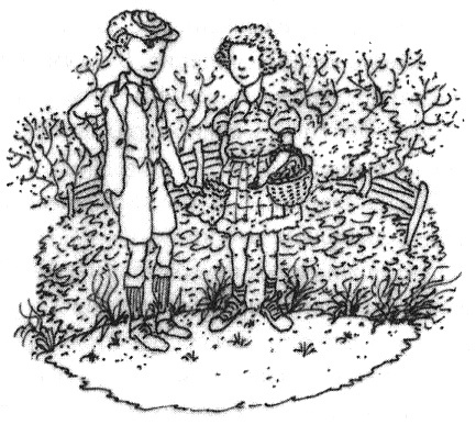 Иллюстрация к книге — Этот Вильям! [i_003.jpg]