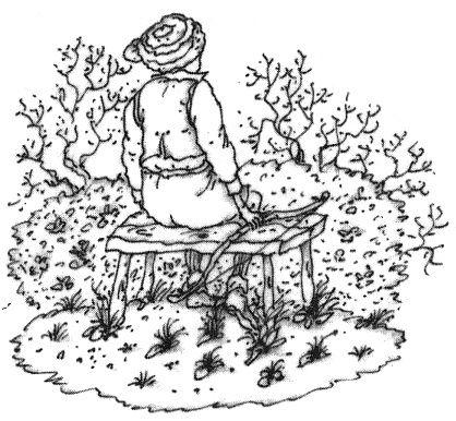 Иллюстрация к книге — Этот Вильям! [i_009.jpg]