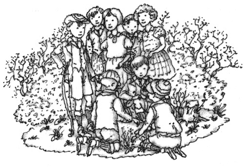 Иллюстрация к книге — Этот Вильям! [i_023.jpg]