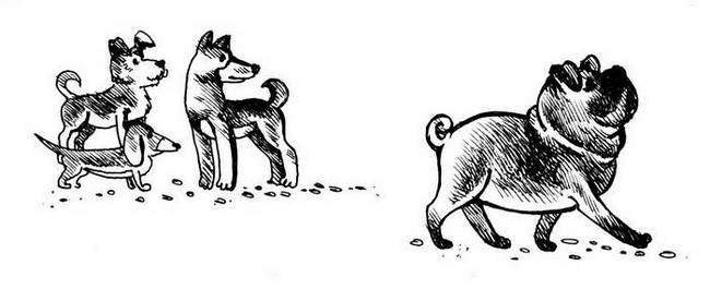 Иллюстрация к книге — О весёлых собачках (сборник) [i_003.jpg]