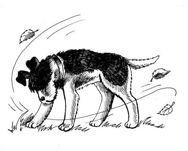 Иллюстрация к книге — О весёлых собачках (сборник) [i_014.jpg]