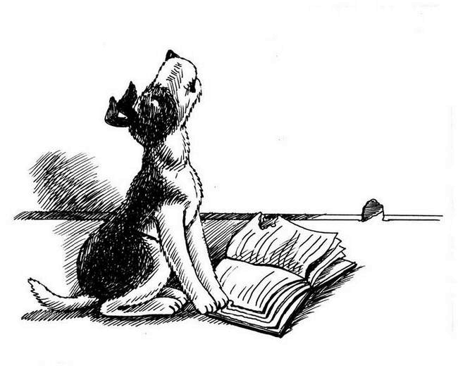 Иллюстрация к книге — О весёлых собачках (сборник) [i_016.jpg]