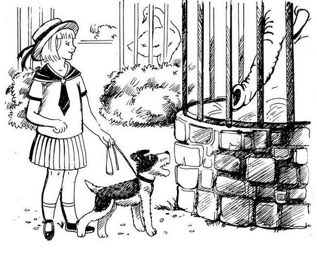 Иллюстрация к книге — О весёлых собачках (сборник) [i_021.jpg]