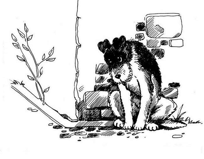 Иллюстрация к книге — О весёлых собачках (сборник) [i_022.jpg]